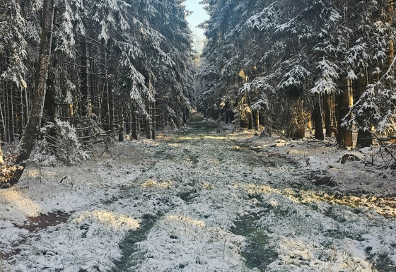 Travel without a script