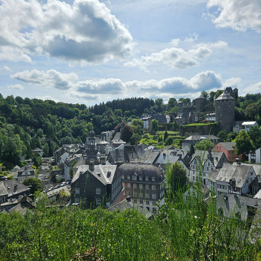 View over the rooftops of Monschau from the hillside