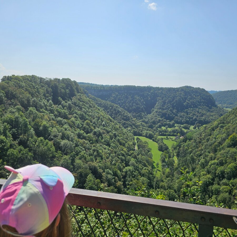 View over the green Jura valley from a viewpoint