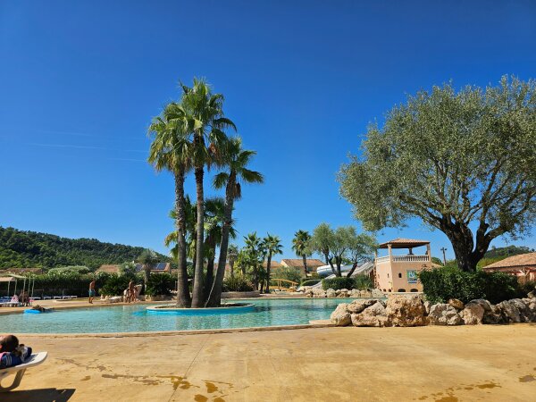 Swimming pool with palms at the Clos des Oliviers holiday park in Vidauban