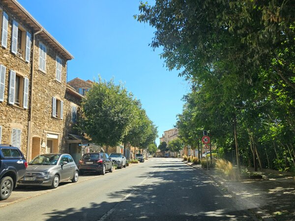 Street with plane trees in Vidauban, seen from the car