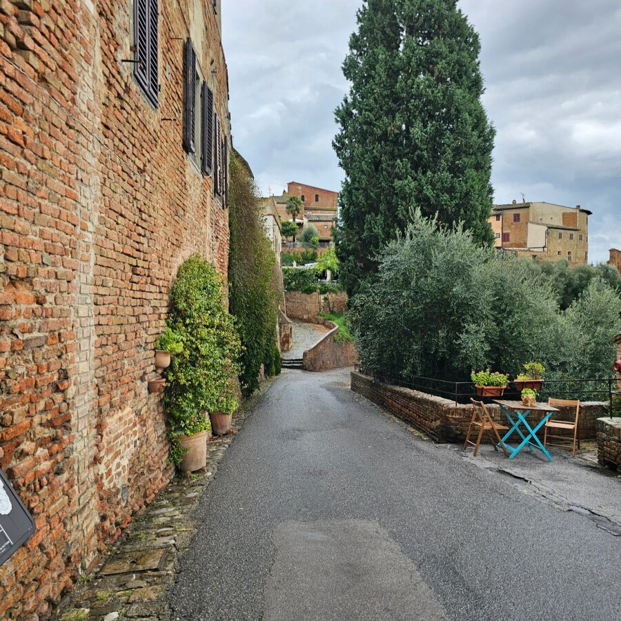 Road between the houses with cypresses in Certaldo Alto