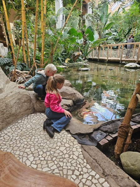 Two children crouching by the koi pond in the covered Market Dome, among bamboo and tropical plants.