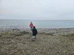 Denmark in winter: quiet landscapes and knowing when a season goes too far