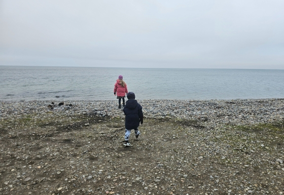 Denmark in winter: quiet landscapes and knowing when a season goes too far