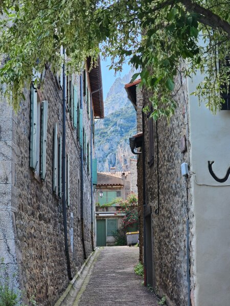 Narrow alley with greenery in Villefranche-de-Conflent