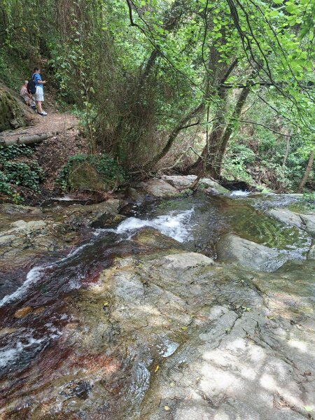 Rocky stream in the forest in the Pyrenees