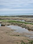 Longeville-sur-Mer with kids: a slower Atlantic escape