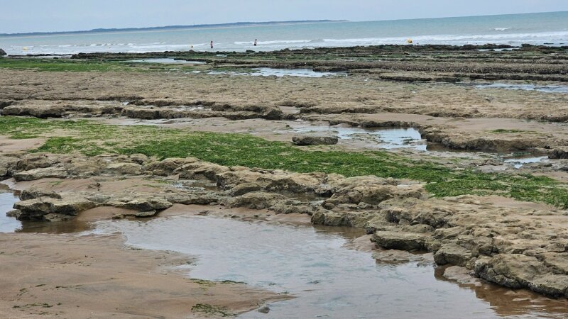 Camping Les Brunelles, Longeville-sur-Mer with kids: lazy river, low tide and Puy du Fou