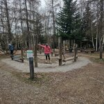 Center Parcs Les Trois Forêts: space, forest, and a slower pace