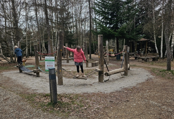 Center Parcs Les Trois Forêts: space, forest, and a slower pace