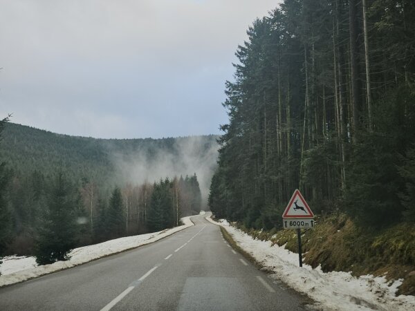 Driving a wet forest road towards Center Parcs Les Trois Forêts