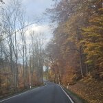 Landal Salztal Paradies: a quiet autumn pause in the Harz