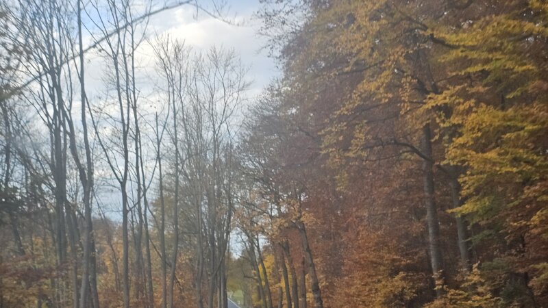 Landal Salztal Paradies with kids: two weeks in the Harz in November