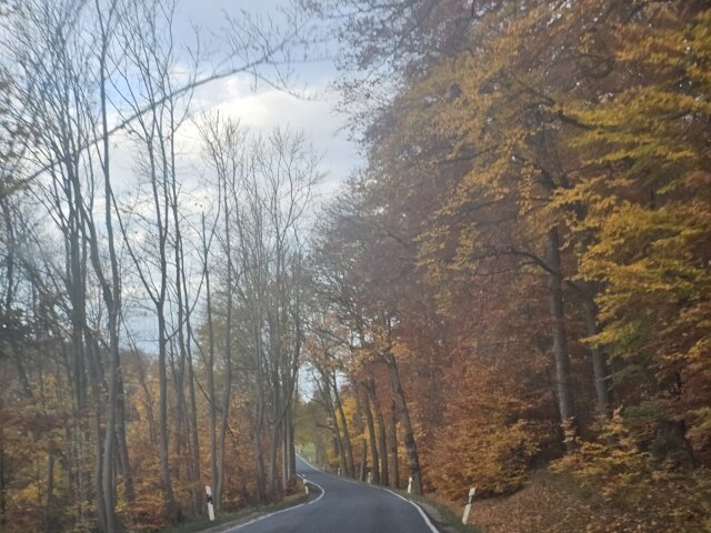 Landal Salztal Paradies met kinderen: twee weken Harz in november
