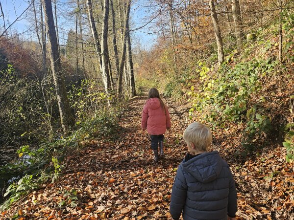 Two children walking through the autumn forest with fallen leaves