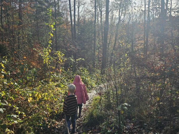 Child in a pink coat on a misty forest path