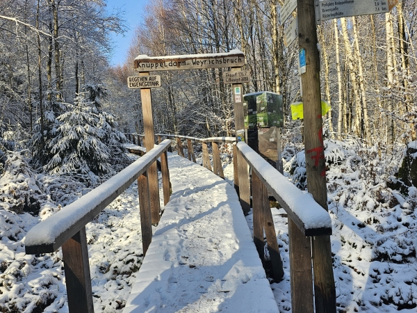 Hiking trail through the forest at Hochwald