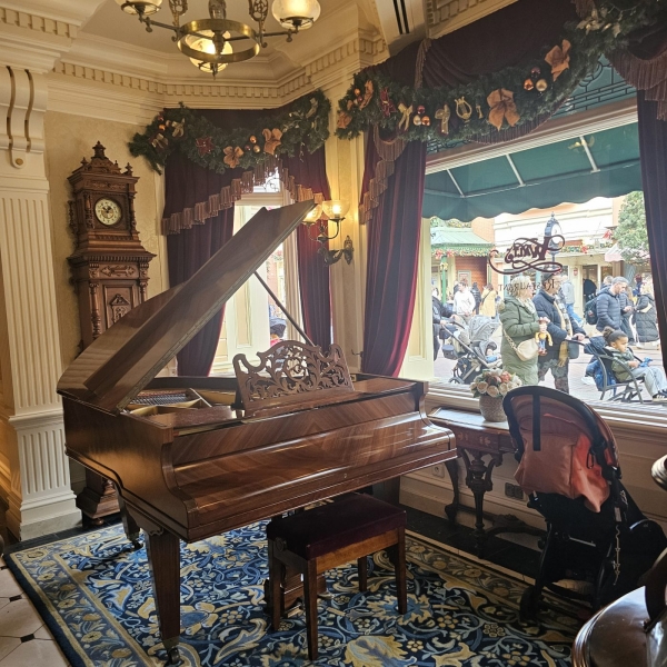 Walt restaurant elegant interior with Christmas decorations