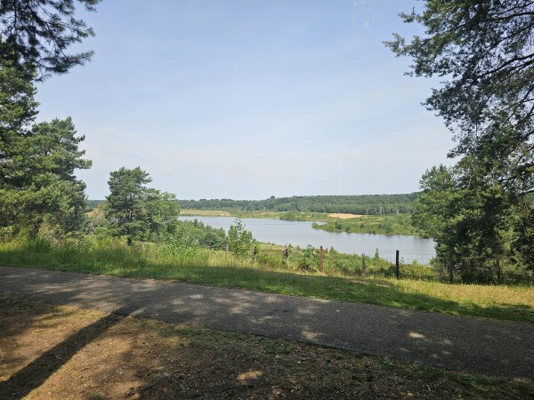 View over the water at the Mechelse Heide in the Hoge Kempen national park