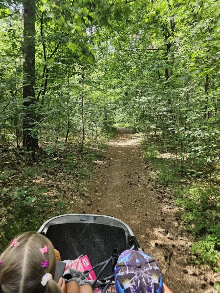 View from the electric cargo bike onto a forest path near Zutendaal
