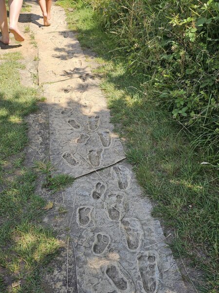 Bare feet on a concrete path with animal tracks pressed into it at Lieteberg