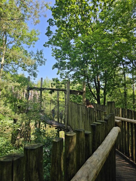 Wooden walkway and a rope bridge over the water on the barefoot trail