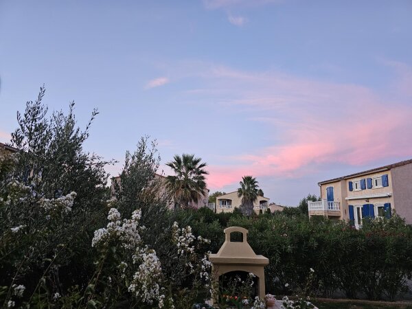 Garden at the holiday house with oleanders, olive trees and a built-in barbecue under a pink evening sky