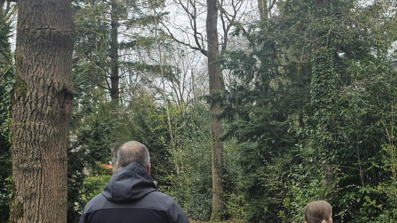 Het Land van Bartje with kids: a week where we never left the park