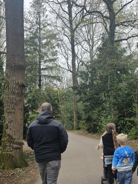 Een volwassene en twee kinderen lopen met een buggy over een bospad op het vakantiepark, tussen hoge bomen in het vroege voorjaar