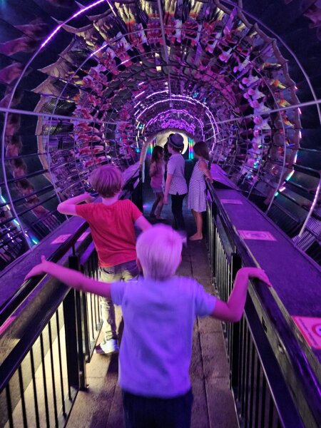 Children walking through a mirrored tunnel lit purple inside the aeroplane