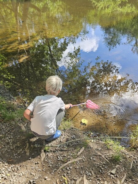 Child seen from behind, crouching on the bank of a shallow stream with a pink fishing net