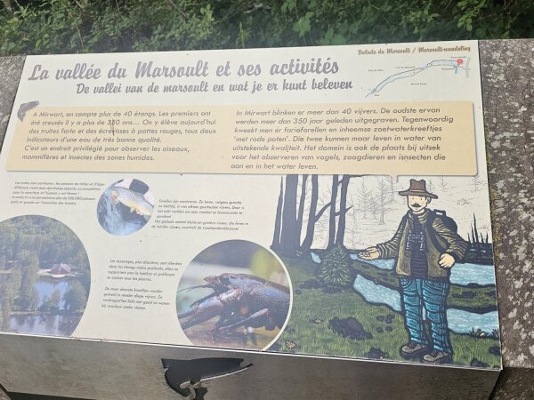 Information board in Mirwart about the Marsoult valley and what to do there