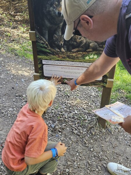 Child seen from behind and a man holding the trail booklet at an information board about wolves
